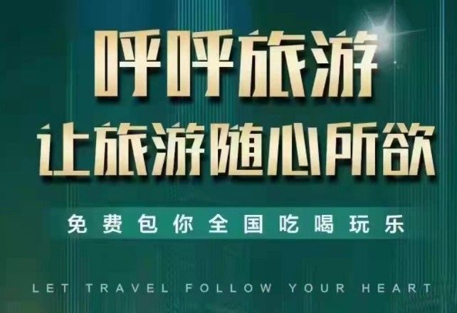 呼呼交友软件