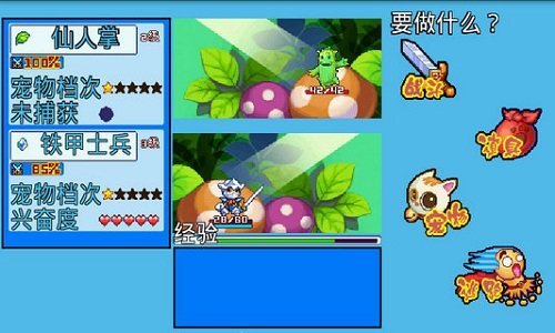 宠物王国5彩虹全宠物版