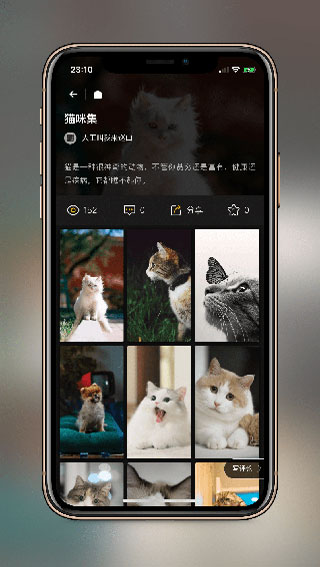 纸塘壁纸app官方版