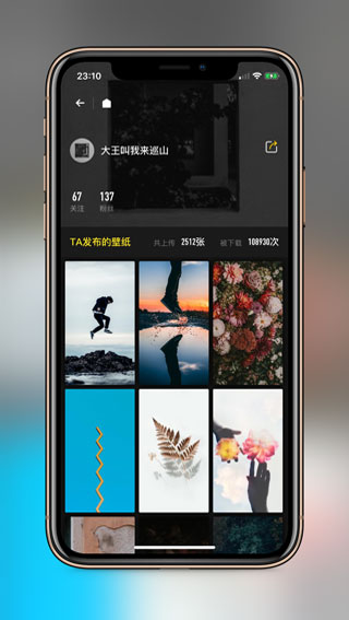 纸塘壁纸app官方版