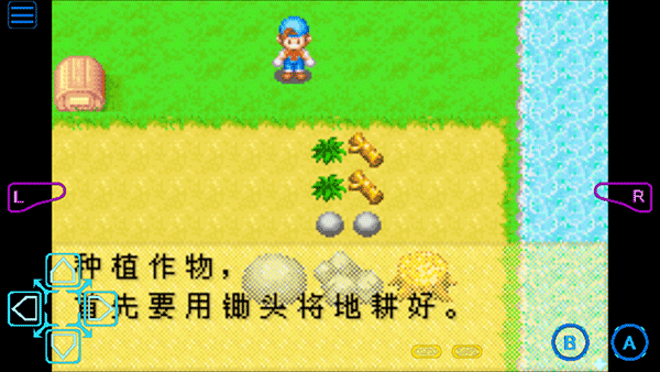 牧场物语矿石镇
