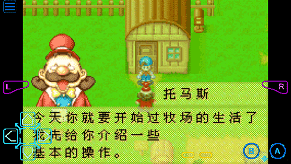 牧场物语矿石镇