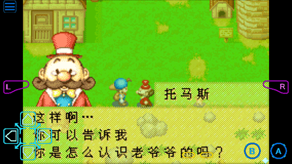牧场物语矿石镇