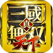 真三国无双天下