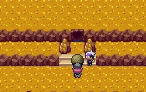 口袋妖怪漆黑的魅影