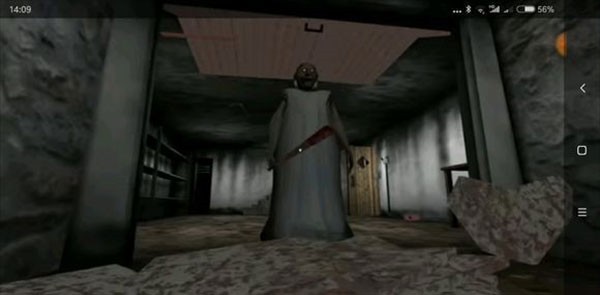 恐怖老奶奶3下载内置作弊菜单截图11