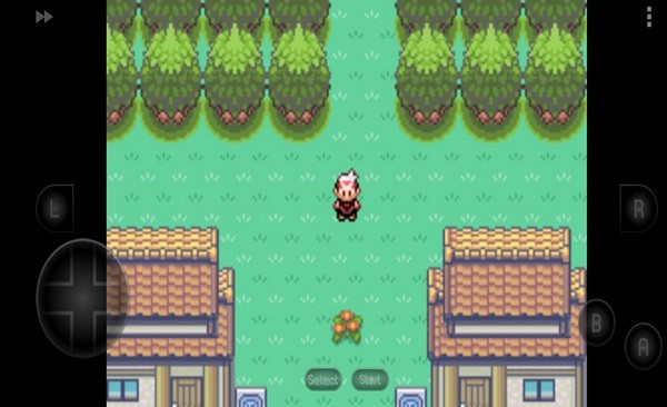 口袋妖怪究极绿宝石3