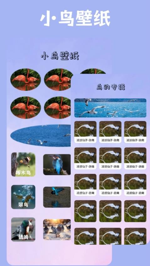 小鸟壁纸2.1.5