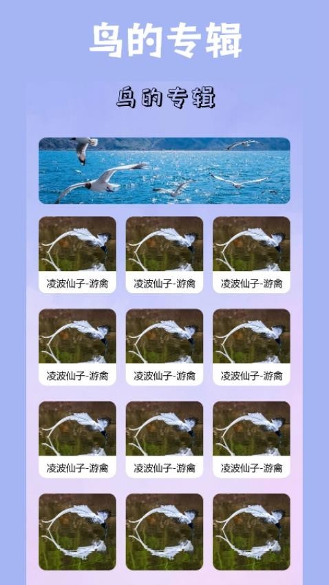 小鸟壁纸2.1.5