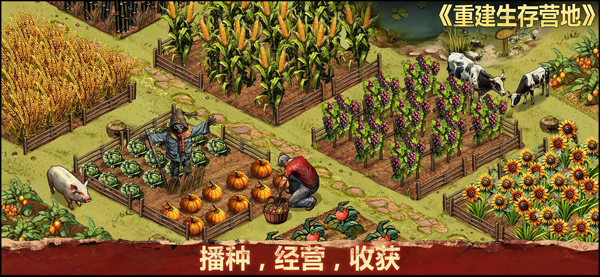 重建生存营地最新版