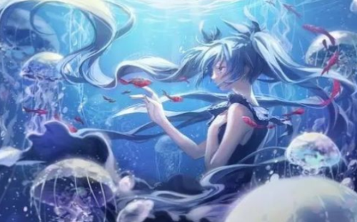 voiux插画官方app