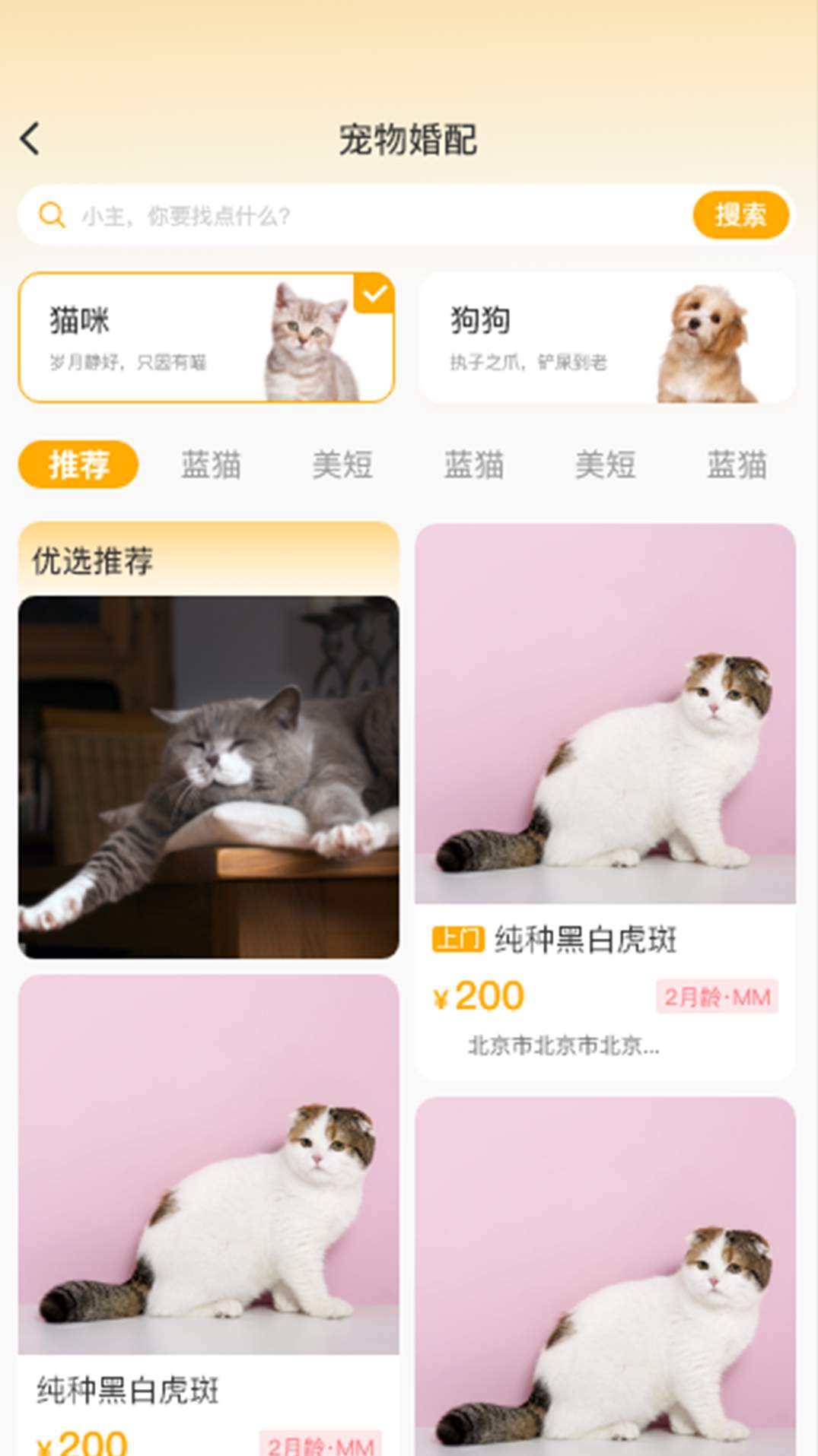喵鑫球宠物app官方版