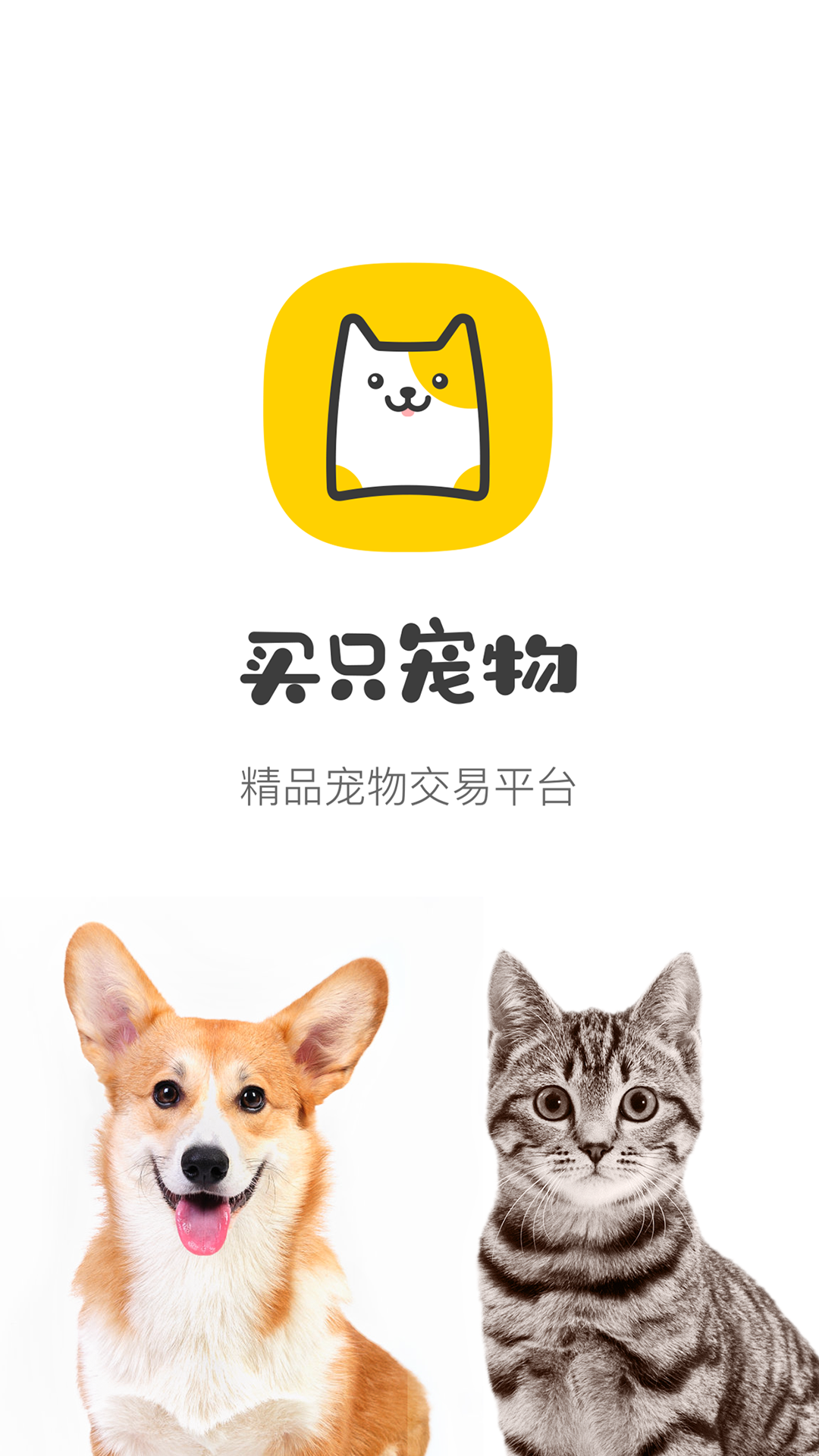 买只宠物官方版
