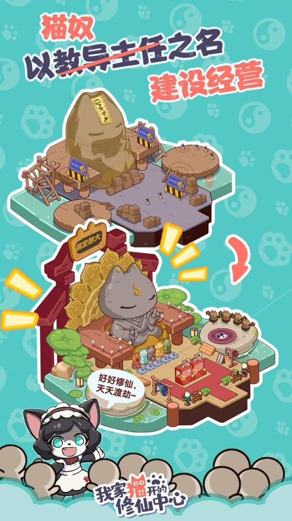 我家猫开的修仙中心