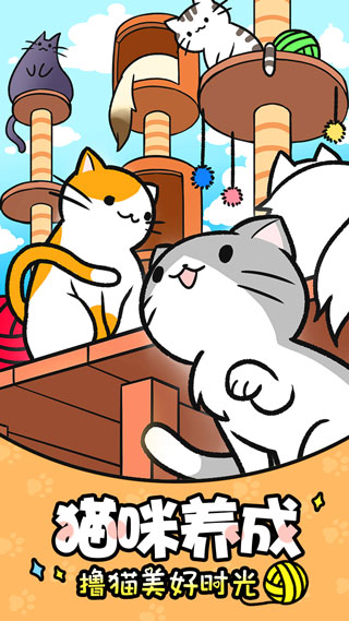 猫咪公寓3D最新版