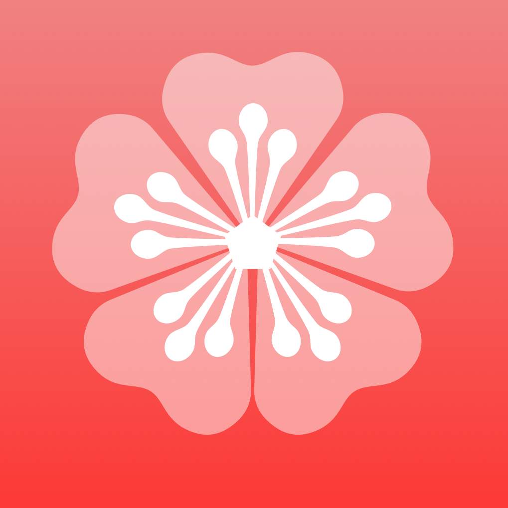 梅花视频截图