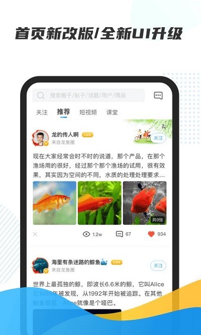 龙巅app安卓版