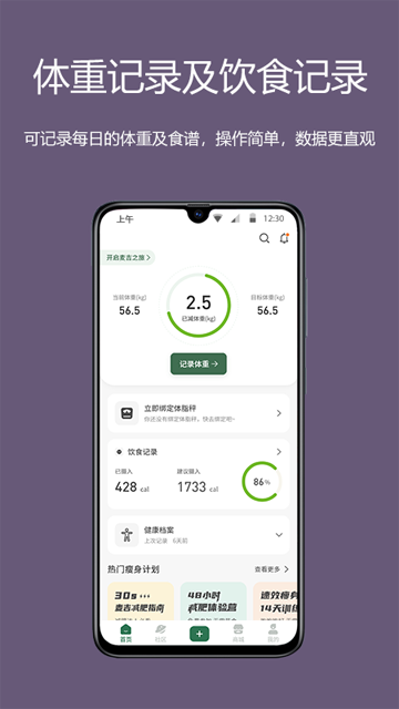 麦吉减肥法原版